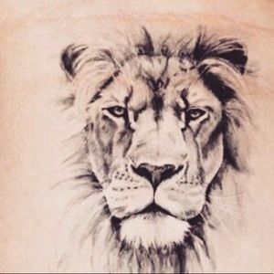 Meet your Posher, Karla